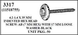 W-E 3317 Indented Hex Head Screw-AB With 17mm Loose Washer Black